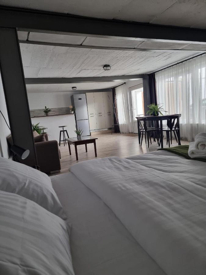 시비우 The Cozy Bunker 아파트 외부 사진