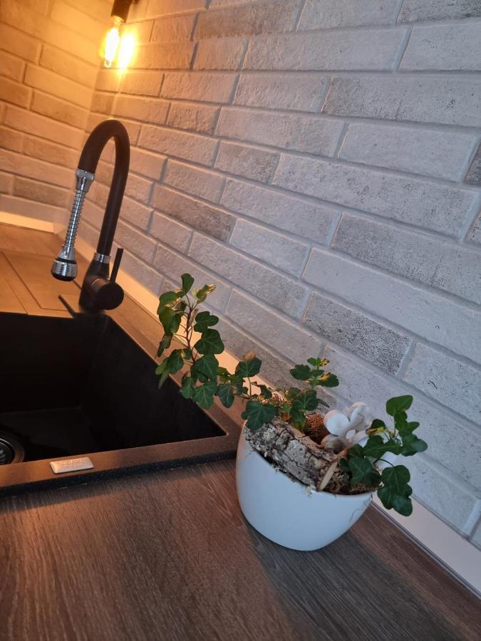 시비우 The Cozy Bunker 아파트 외부 사진